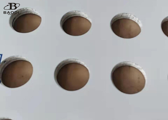 1m X 2m Punching οθόνης φίλτρων διατρυπημένο πιάτο πλέγμα μετάλλων